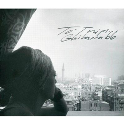 Guitarra 66 características