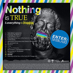 Nothing Is True & Everything Is Possible - Vinilo en oferta