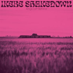 Kings left behind - Vinilo precio