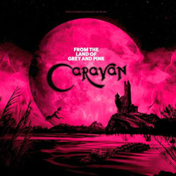 From the Land of Grey and Pink Colour - Vinilo en oferta
