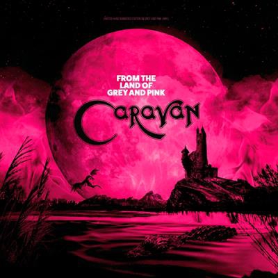 From the Land of Grey and Pink Colour - Vinilo