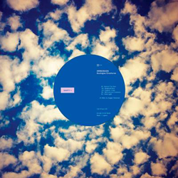 Analogue Creatures (Edición vinilo) características