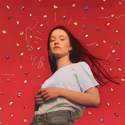 Sucker Punch - Vinilo pintado
