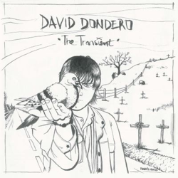 The Transient - Vinilo en oferta