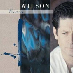 Brian Wilson Expanded edition características