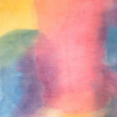 The Weight Of The Sun - Vinilo