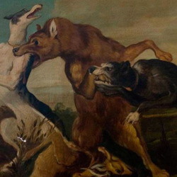 Lucha Perro en oferta