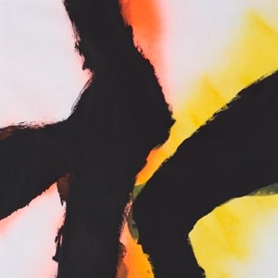 Alien Flower Sutra - Vinilo