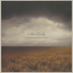 I See Three Birds Flying precio