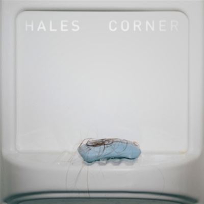 Hales Corner