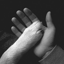 Tasha Sits Close to the Piano - Vinilo precio