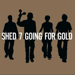 Greatest Hits (Going For Gold) Ed Limitada - 2 Vinilos Oro precio
