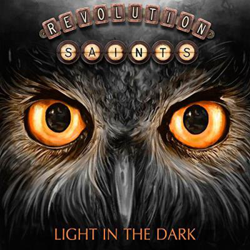 Light in the Dark - Vinilo características