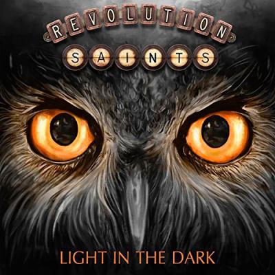 Light in the Dark - Vinilo