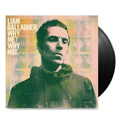 Why Me? Why Not - Vinilo