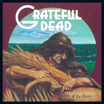Wake of the Flood - Vinilo