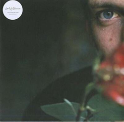 Don´t delete the kisses - Single Vinilo características