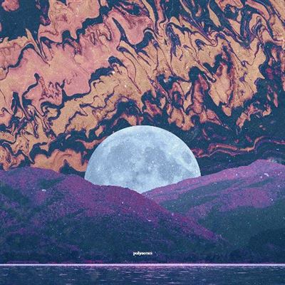 Polysomn - 2 Vinilos