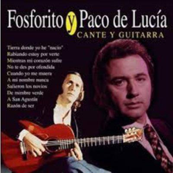 Cante y guitarra características