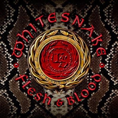 Box Flesh & Blood - CD + DVD + 2 Vinilos
