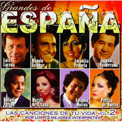 Grandes de España - Las Canciones de tu Vida Vol 2 características