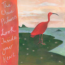 Look Inside Your Heart características