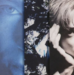 Create 1 Procreate RemasAndExp - 3 CDs precio