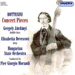 Obra contrabajo y orquesta características