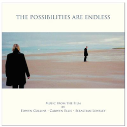 The possibilities are endless - Vinilo precio