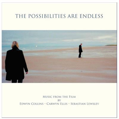 The possibilities are endless - Vinilo