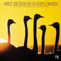 Sunflower precio