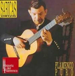 Flamenco puro características