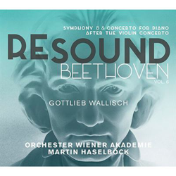 Resound Beethoven Vol. 6 precio