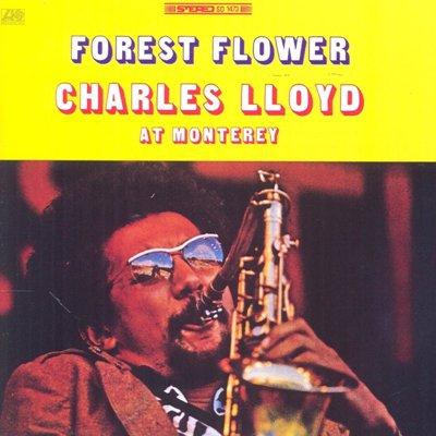 Forest Flower