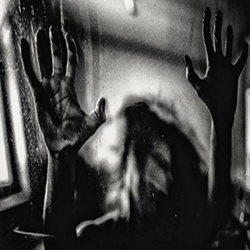 Harmonic - Vinilo precio