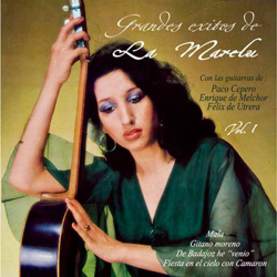 Grandes éxitos vol. 1 características