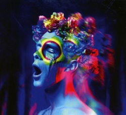 Wonderland en oferta