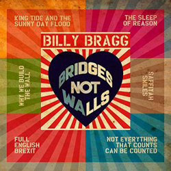Bridges not Walls precio