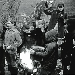 The Bonny Deluxe - 2 Vinilos precio