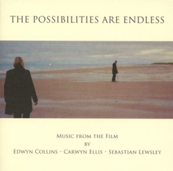 Possibilities Are Endless en oferta