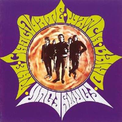 44-Chocolate Watch Band