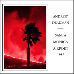 Santa Monica Airport 1987 en oferta