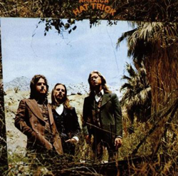 Hat trick características