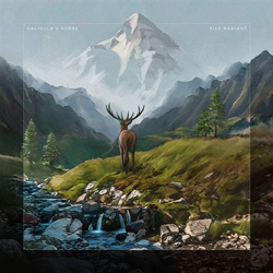 Rise Radiant - 2 Vinilos + CD características