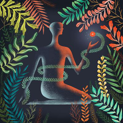 Don´t shy away en oferta