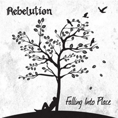 Falling Into Place - Vinilo