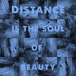 Distance is the soul of the beauty - 2 Vinilos características