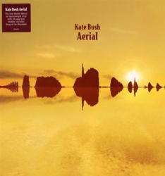 Aerial - Vinilo características