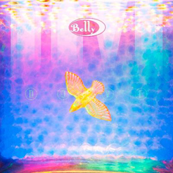 Dove - Vinilo precio