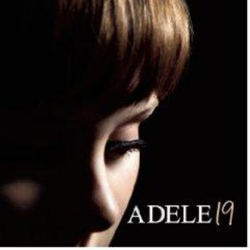 19 - Vinilo características